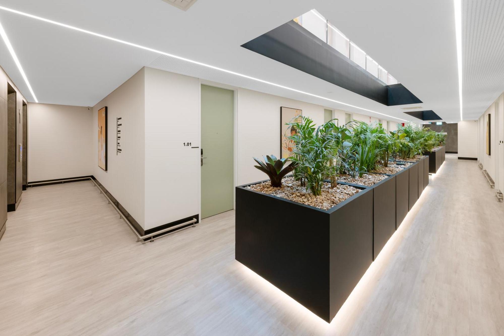 Haberfield Hotel Sydney Ngoại thất bức ảnh